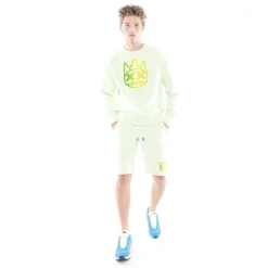 SWEATSHORT IN PATINA GREEN